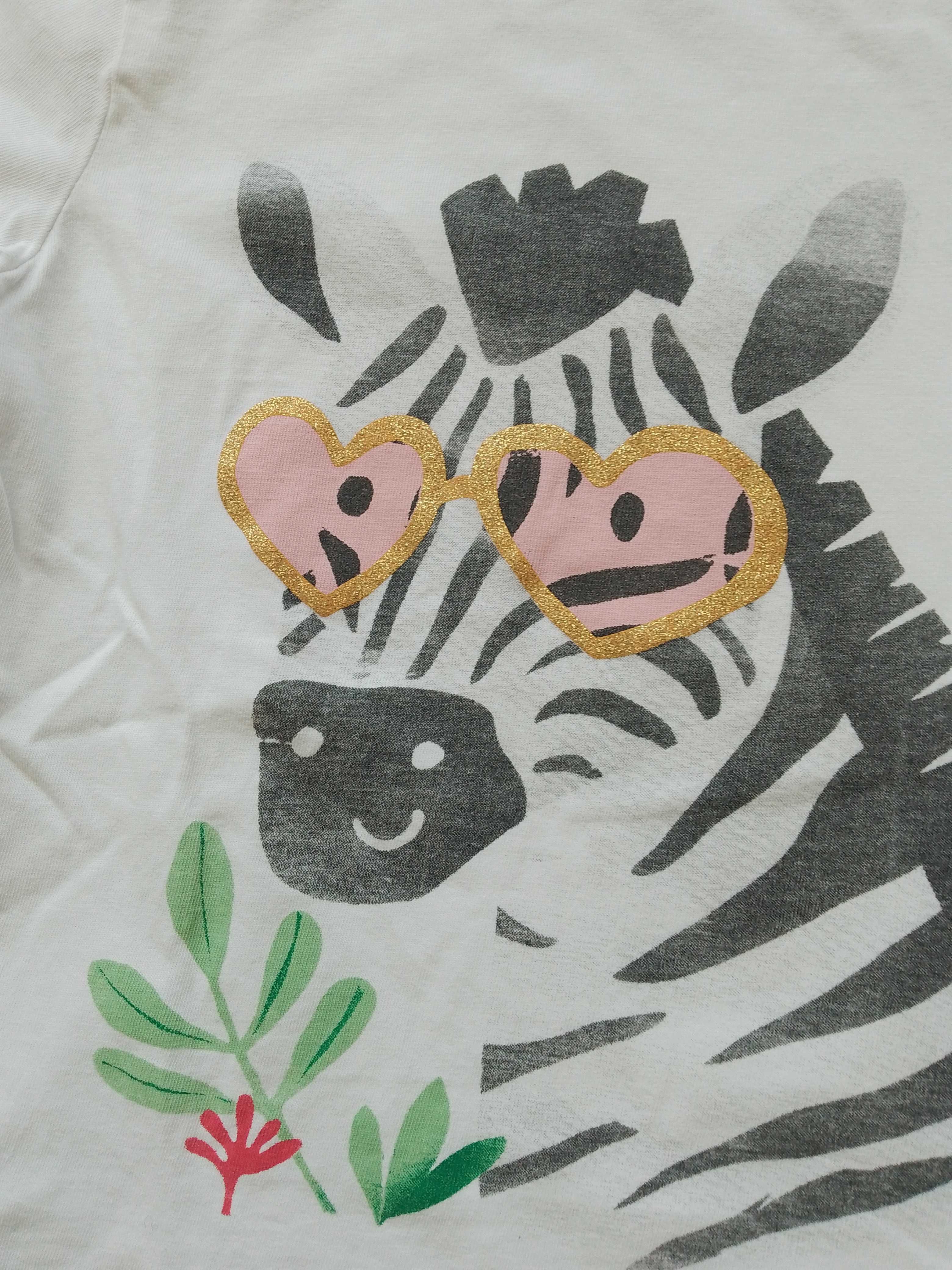 T-shirt z zebrą 5 10 15