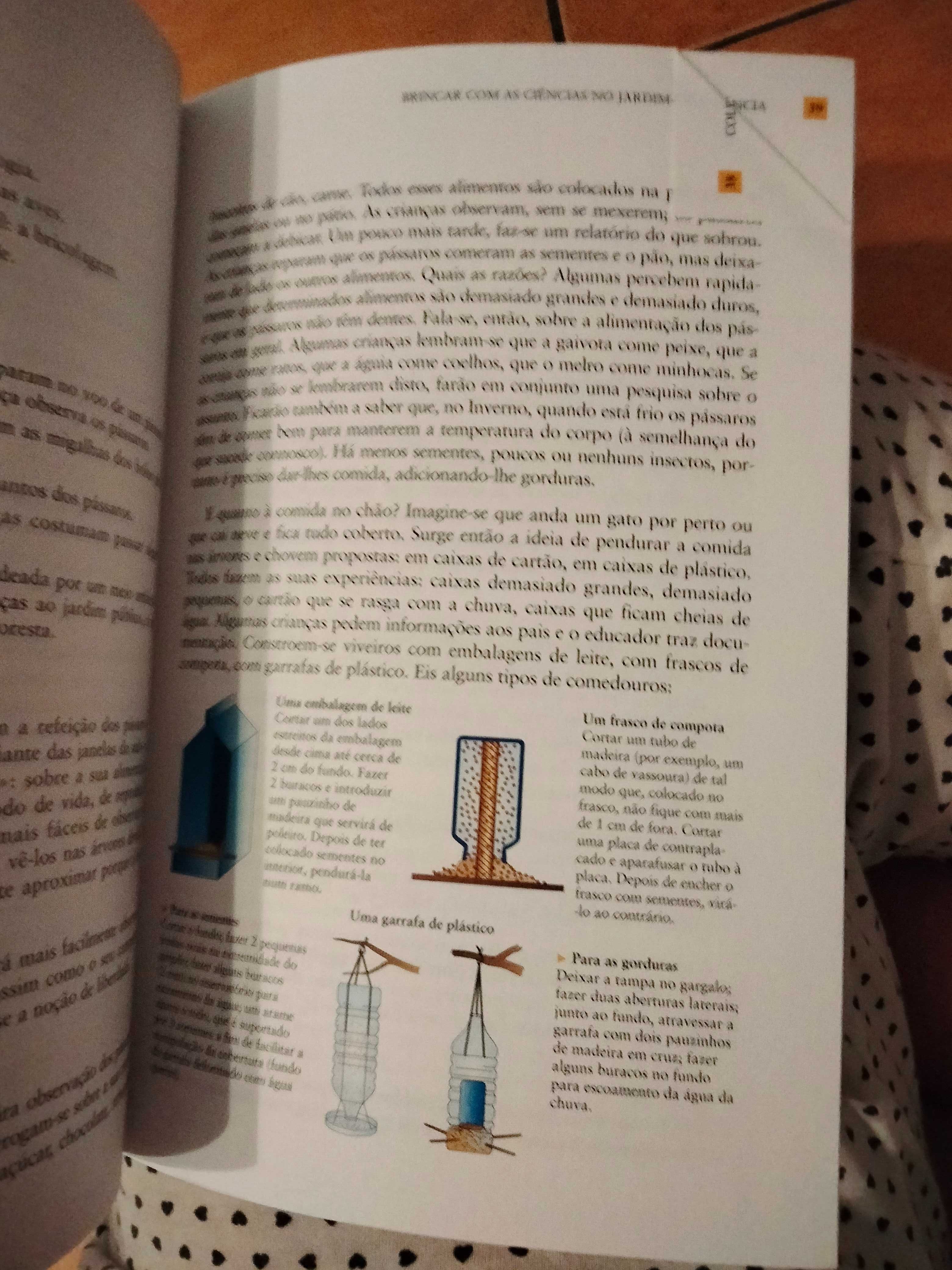 Brincar com as Ciências no Jardim-de-Infância