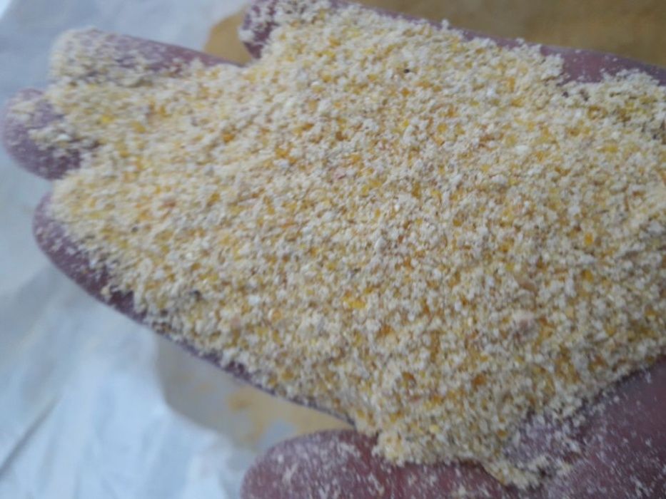 Kukurydza sucha mielona