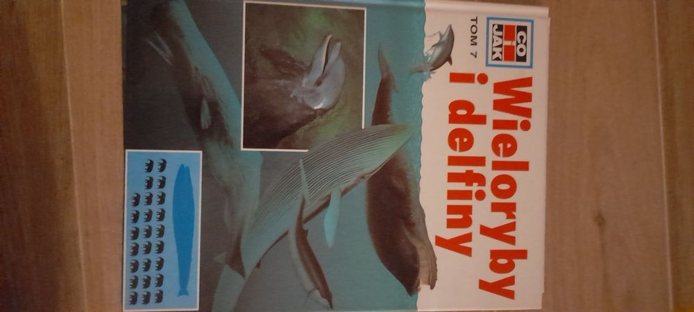 Co I jak "wieloryby i delfiny "