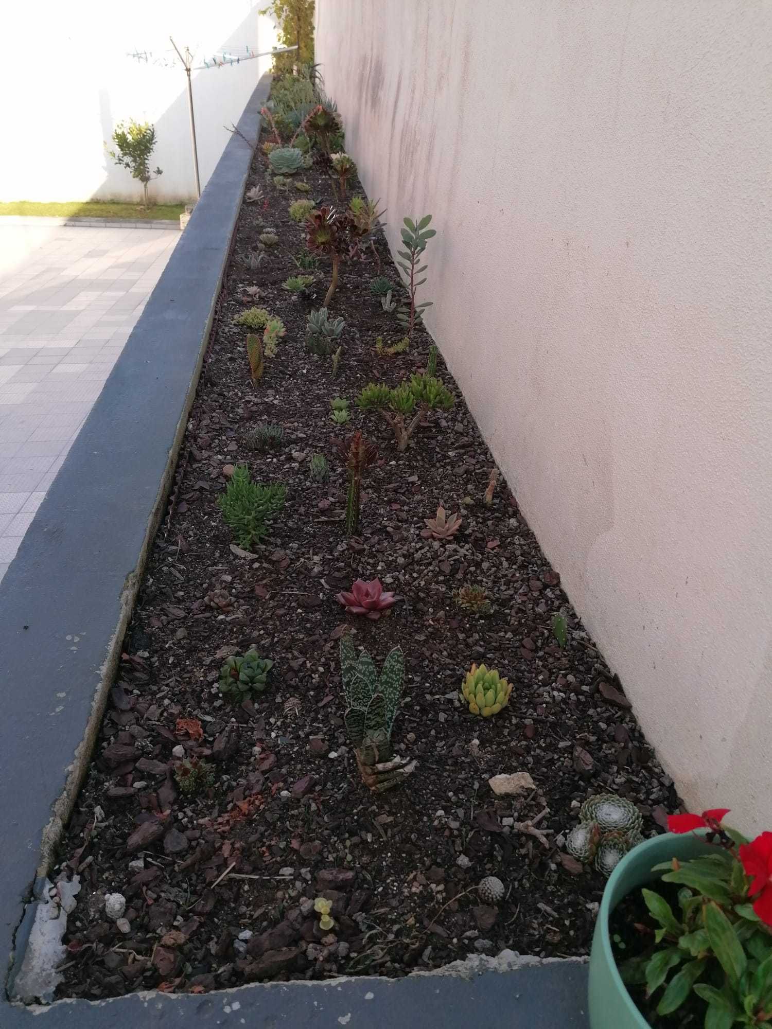 Arrenda-se T2 - Campo/Sobrado c/ Terraço
