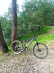 Rockrider am 50s