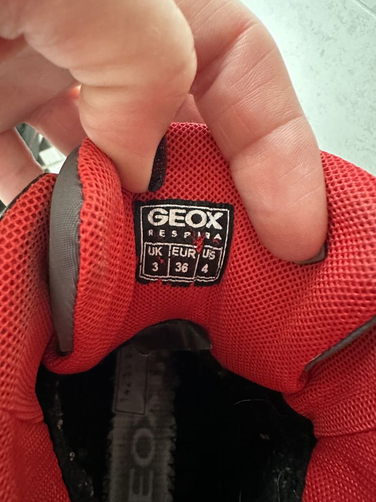 Термоботинки Geox, ботинки Геокс, черевички Geox