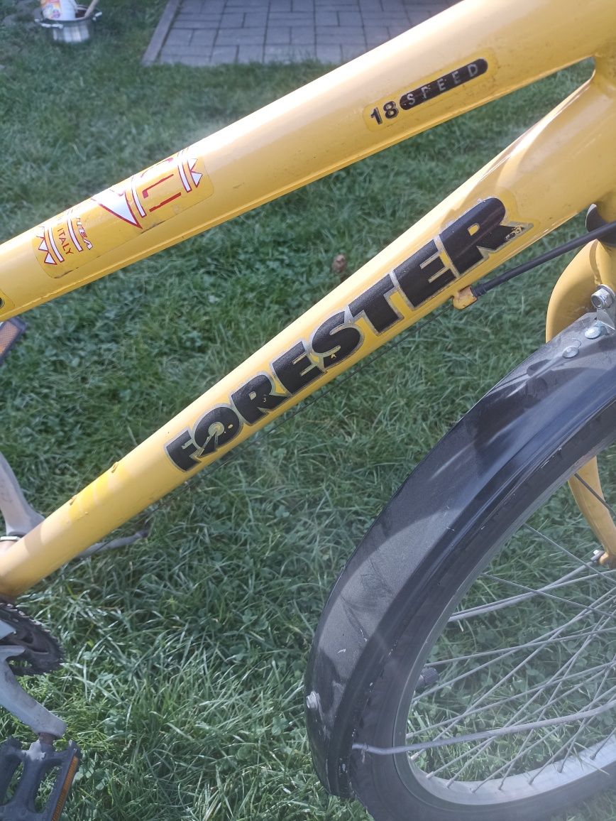 Rower Forester MTB