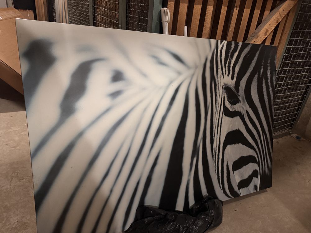 Obraz zebra od ikea…………………………………………………………………………………………………………………………………..