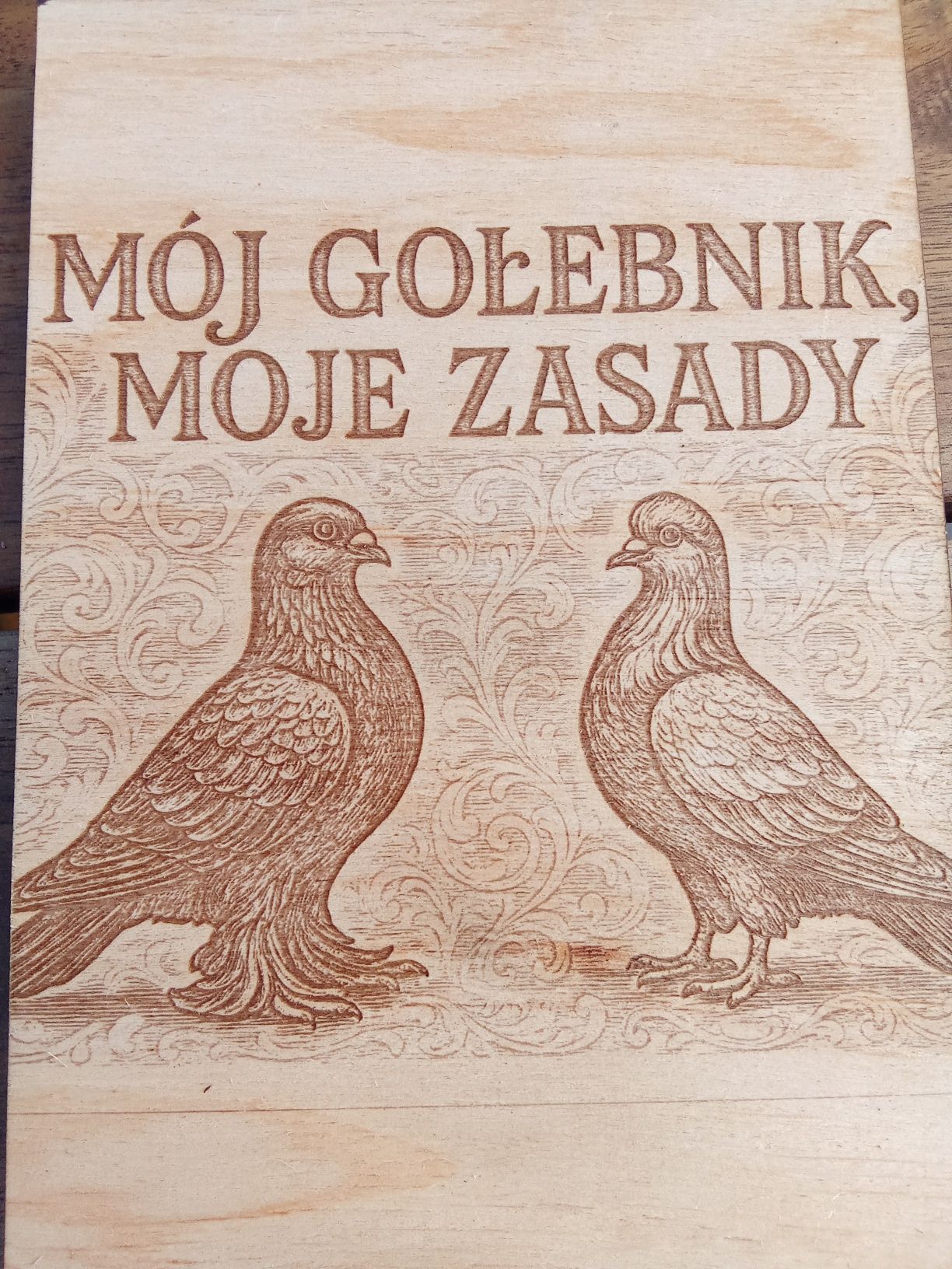 Gołębie gołębnik gołębiarz gołąb prezent