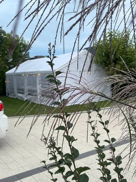 Wynajem Namiotu Okolicznościowego 4x8 /Krzeseł/Stołów cateringowych