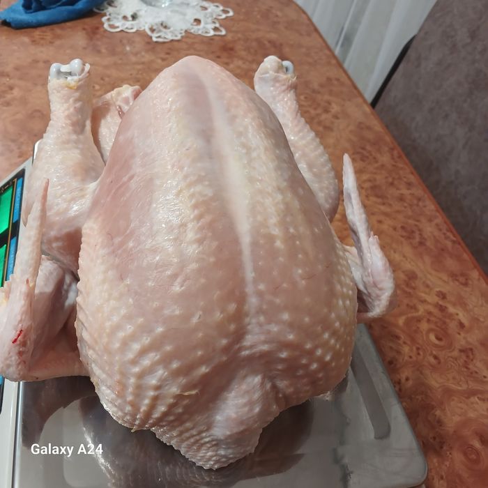 Тушки  бройлера домашні кури