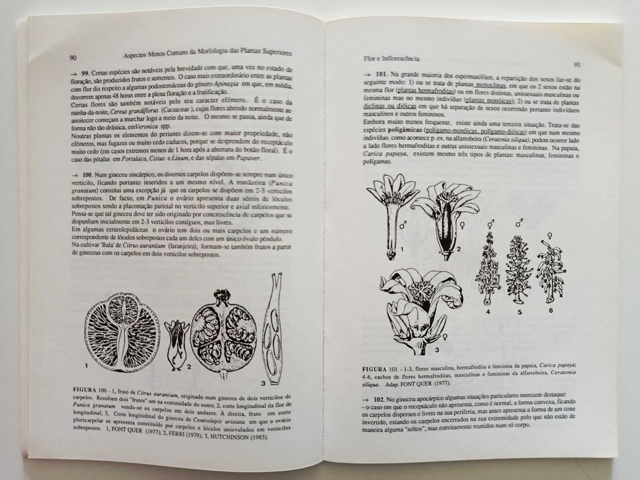 Aspectos poucos comuns da Morfologia das Plantas Superiores