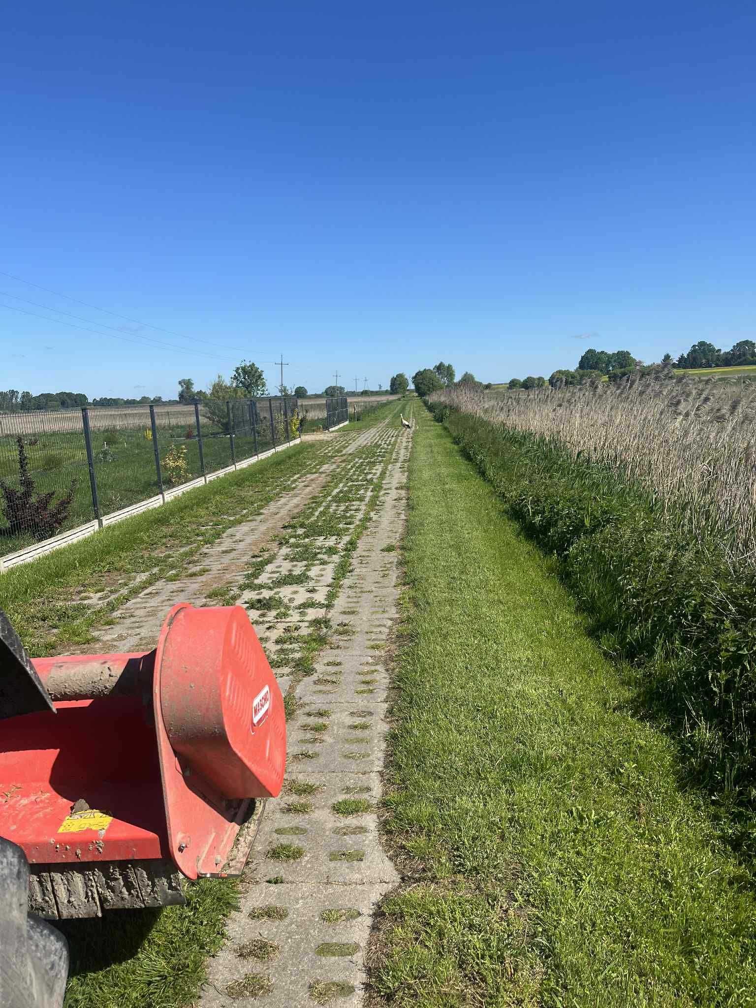 Kompleksowe sprzątanie posesji (wycinka drzew, wywóz gruzu, gabarytów)