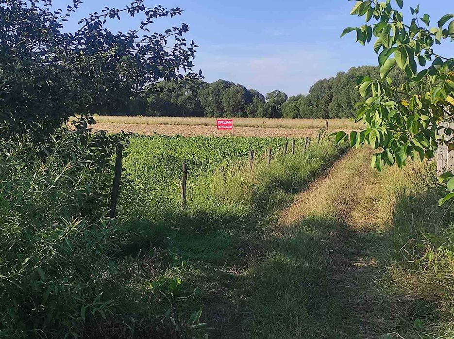 Продаж земельної ділянки с.Медвідка (Калинівський напрямок) 37соток