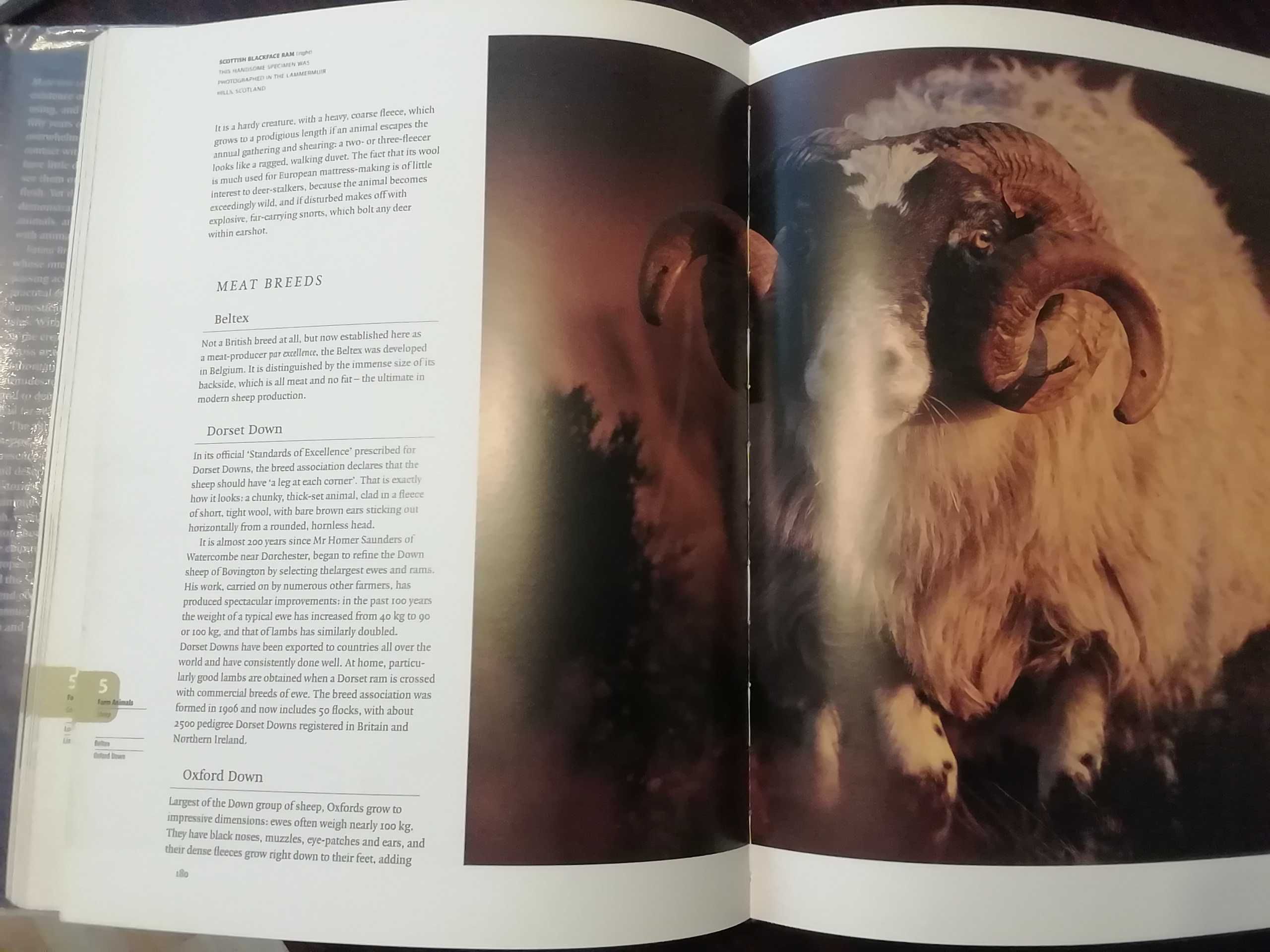 Fauna Britannica, Duff Hart Davis