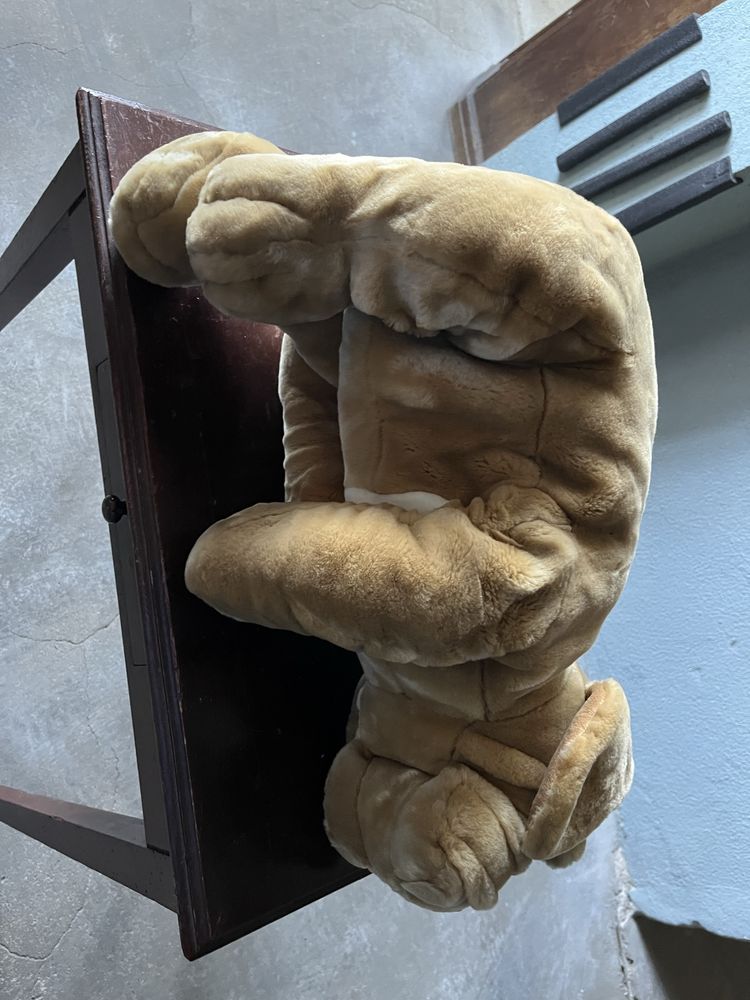 Cão de peluche com 55 cm