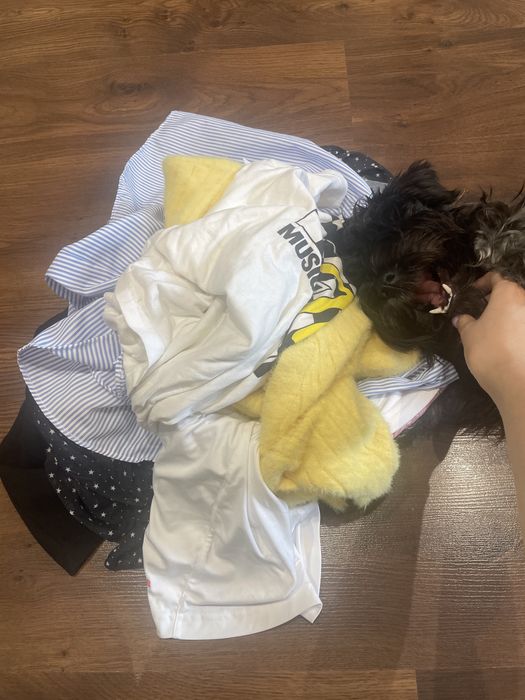 Mystery box - ubrania xs