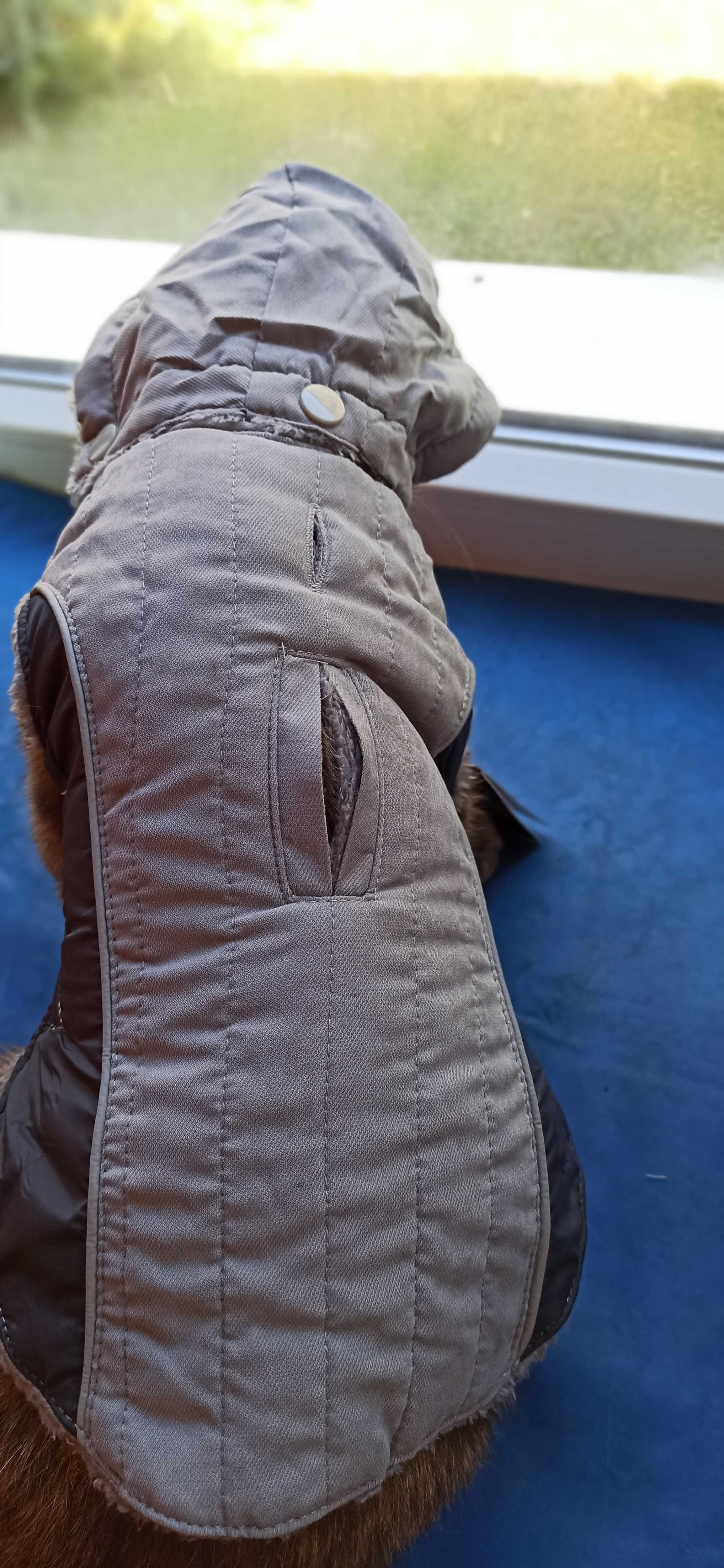 Курточка на кота собаку, сезон осінь