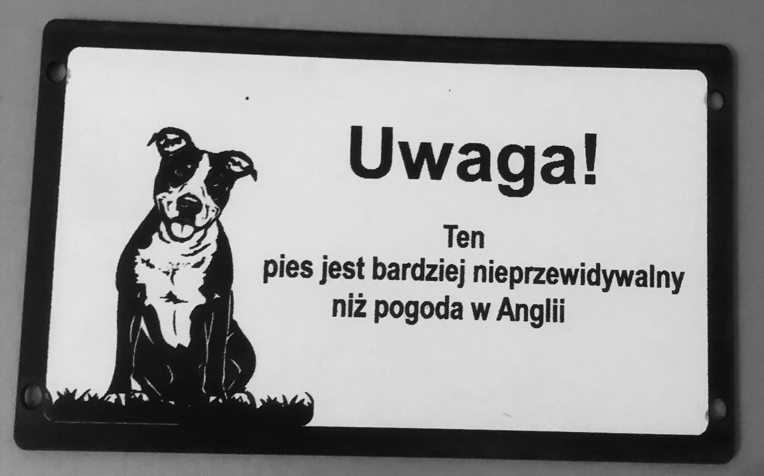 Tabliczki uwaga zły pies  ostrzegawczo informacyjne