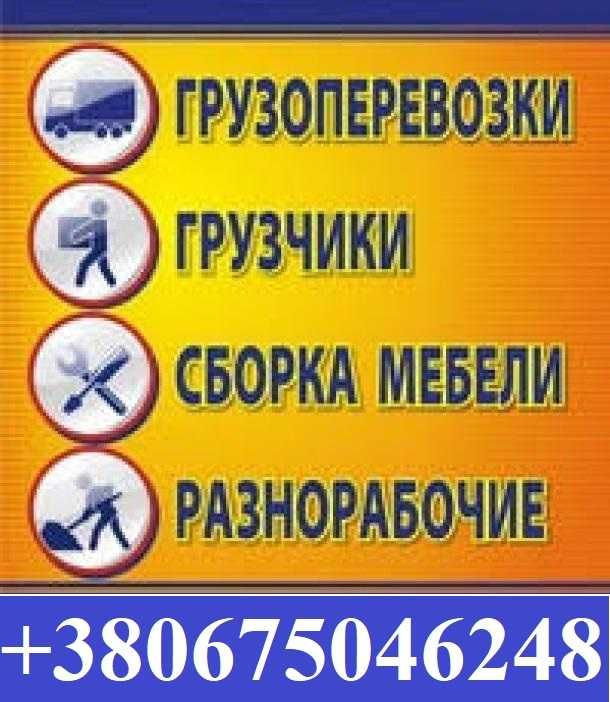 Вантажні послуги. Комплексне перевезення в Броварах. Грузчики.