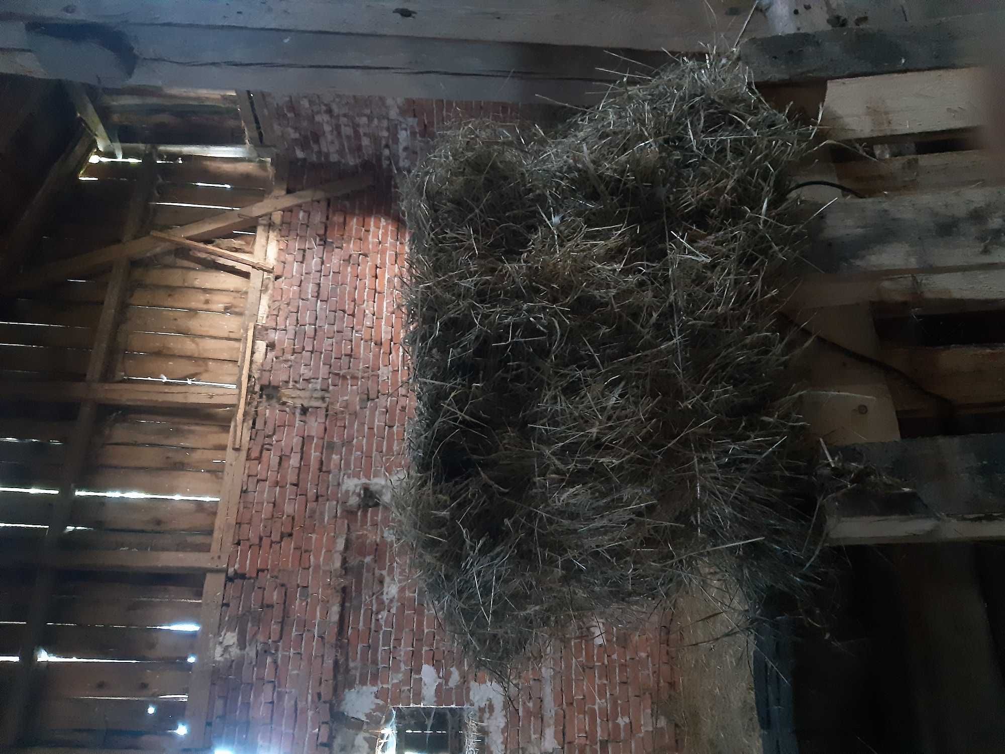 Siano mała kostka , słoma