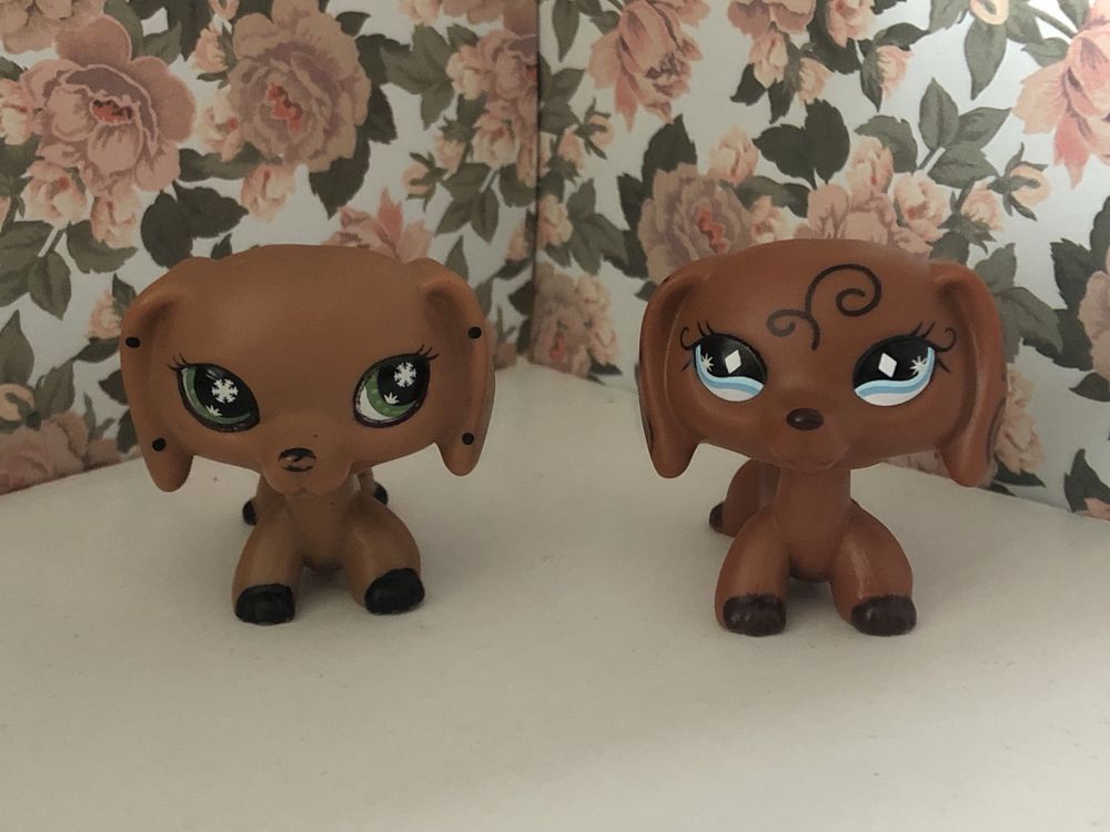 Lps pop shorthais jamnik dog niemiecki