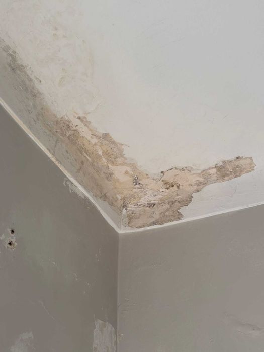 NOVA COR, NOVA ENERGIA, NOVO LAR.