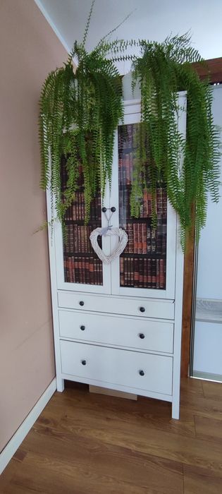 Szafka witryna półka komoda Ikea Hemnes