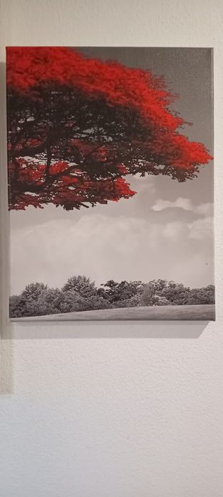 Quadro de decoração 1,62×80