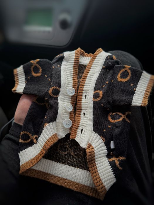 Одежда для собак