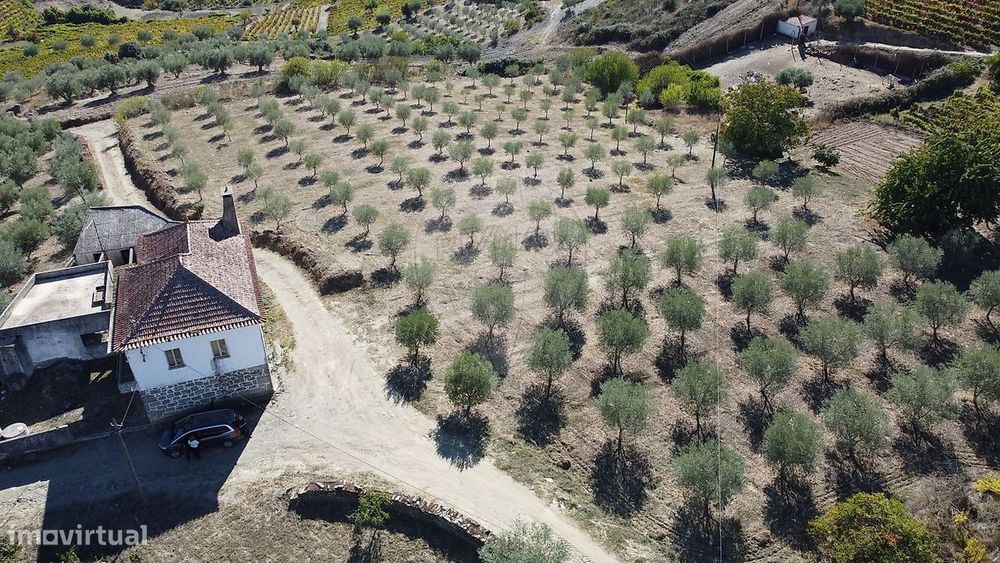 Terreno  para venda