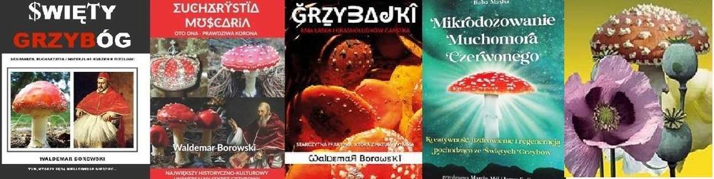 Święty Grzybóg Mikrodozowanie muchomor czerwony Amanita tom 1-5