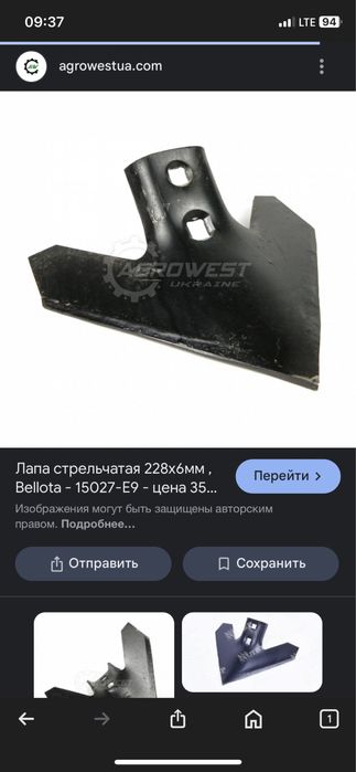 Лапа стрельчатая