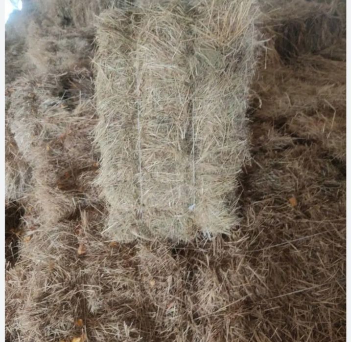 Продам сіно в тюках