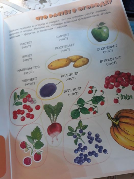 Дитяча книга 100 логопедичних ігр