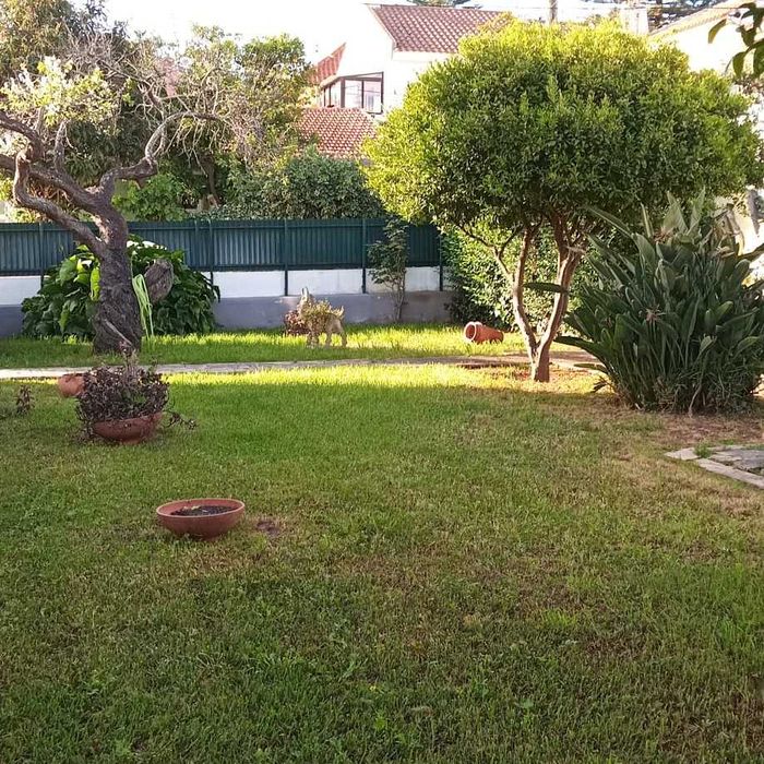Casa T6 com duplo salão, jardim e garagem – São Domingos de Rana –
