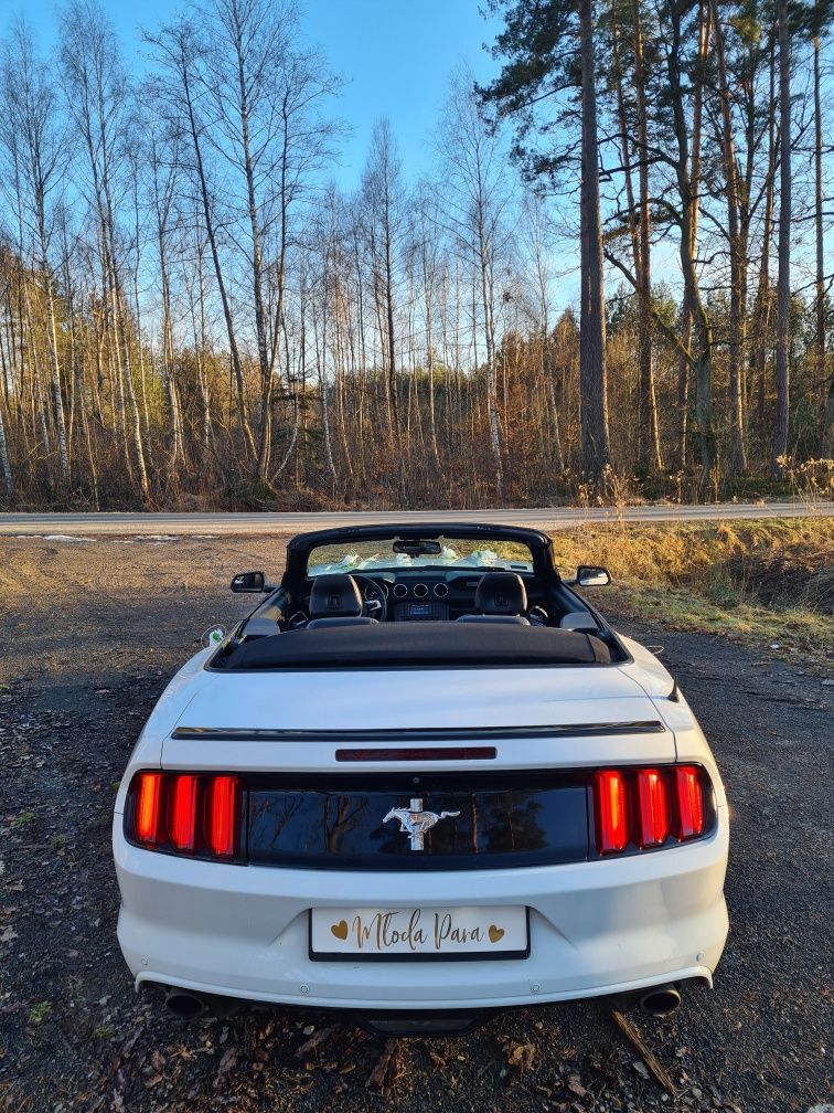 Samochód/auto do ślubu wesel! Ford Mustang Cabrio Camaro