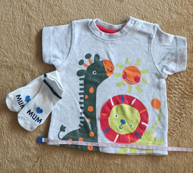 Koszulka z krótkim rękawem t-shirt 56 Nutmeg skarpetki