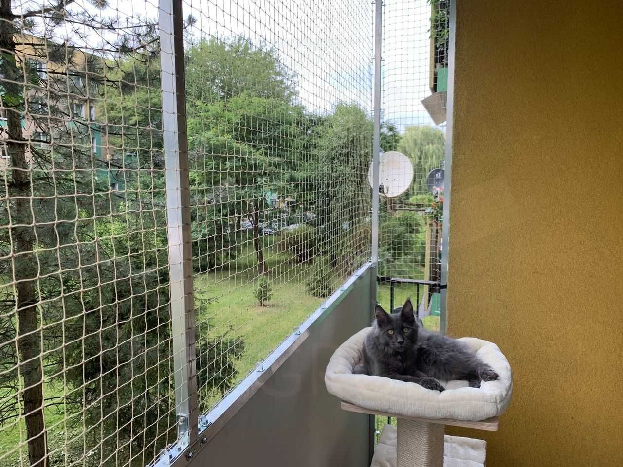 Siatka dla kota, siatka balkonowa, siatka przeciw ptakom na balkon