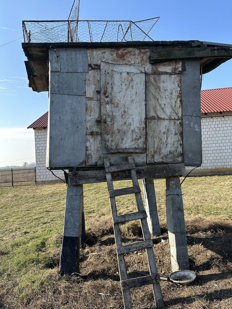 Gołębnik buda pawilon hodowlany