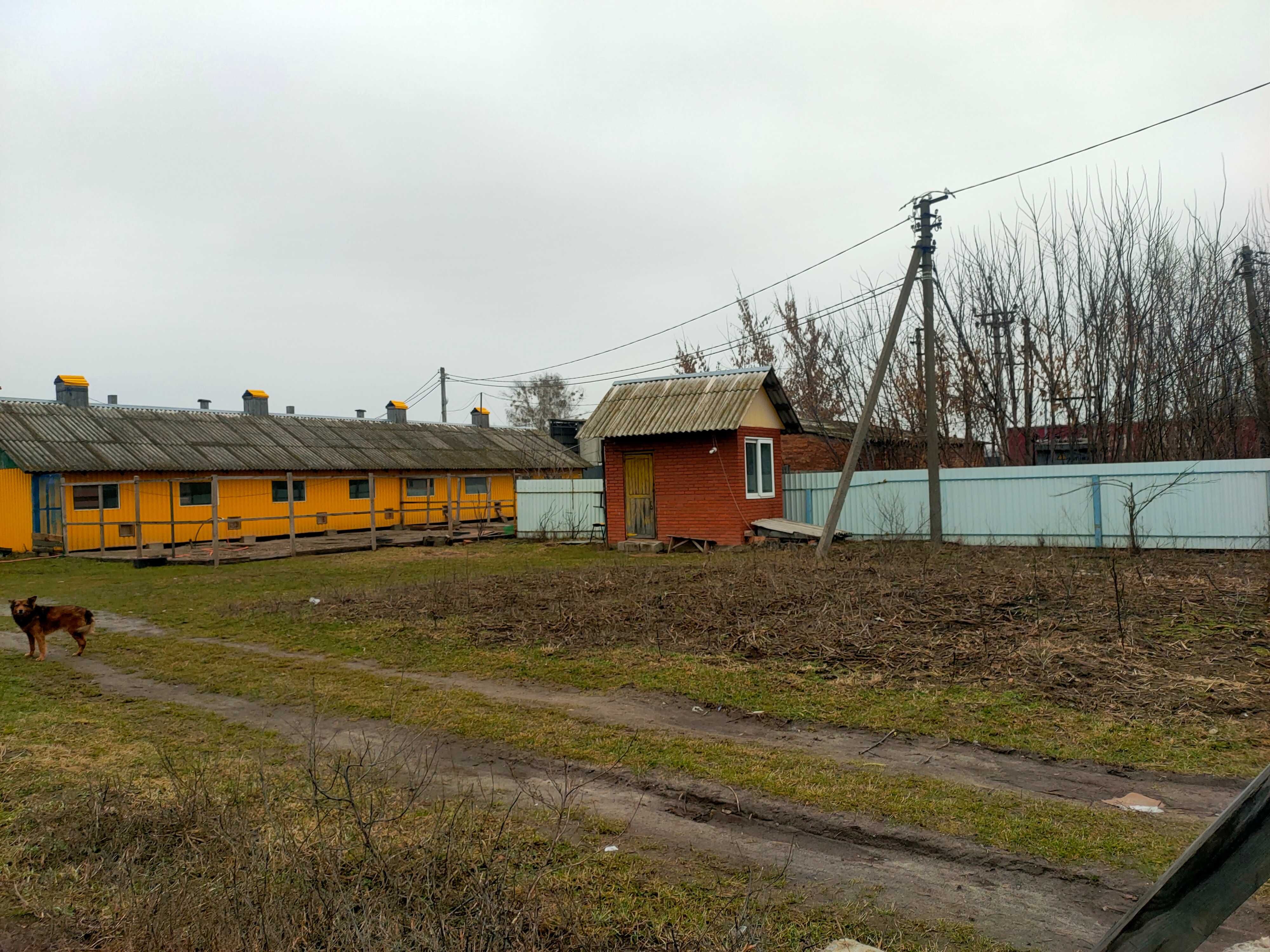 Оренда фермерського господарства село. Лубянка