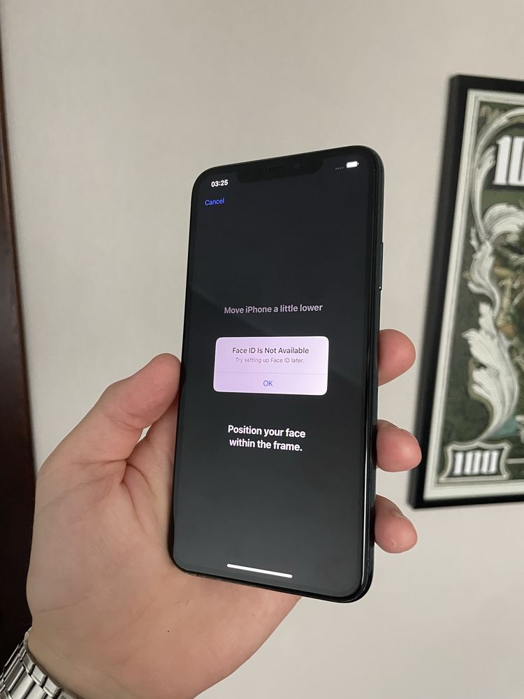 iPhone 11 Pro Max 256 GB NeverLock