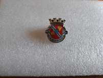 Pins Município de Arcos de Valdevez