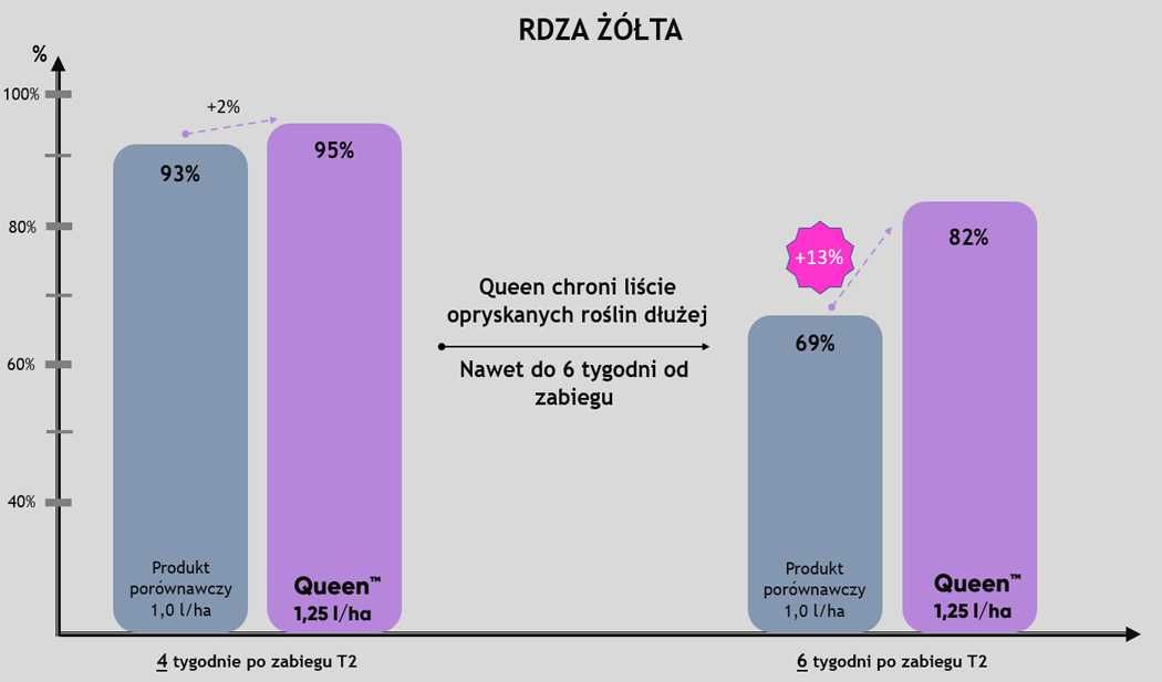 Queen rewolucyjny fungicyd na T2