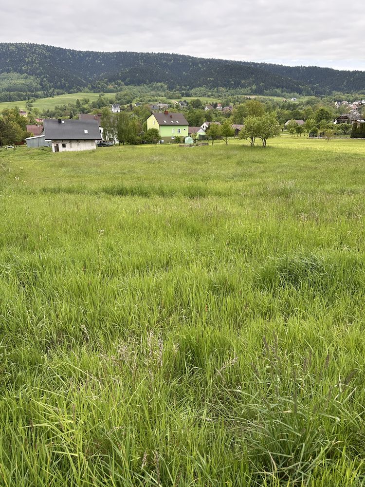 Działka budowlana 2208 m² – Ptaszkowa