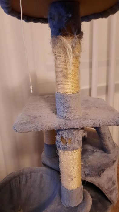 Drapak dla kota wysoki