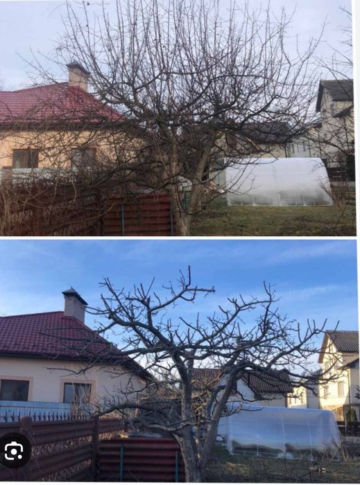 Обрізка і чистка саду