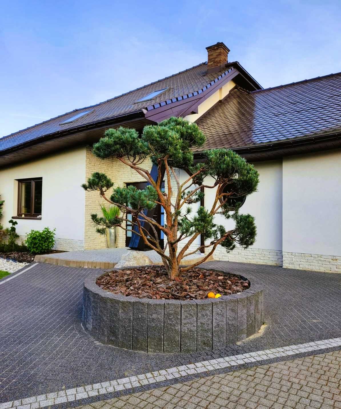 Zadbamy o Twój ogród