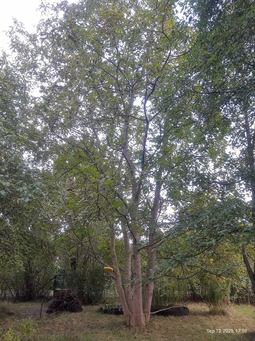 Urban Family Retreat ROD: 500 m² of Nature in Warsaw City Center