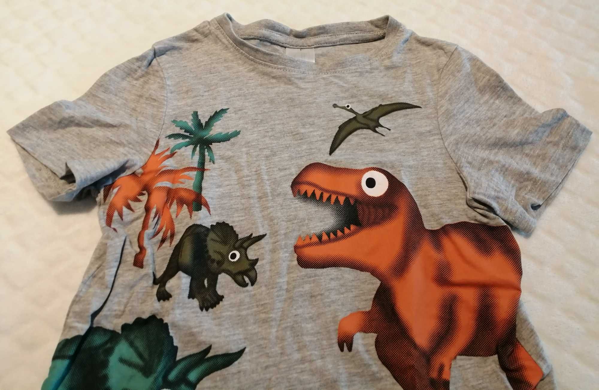 Koszulka, krótki rękaw, T-shirt, dinozaury, 116, C&A (Odzież)