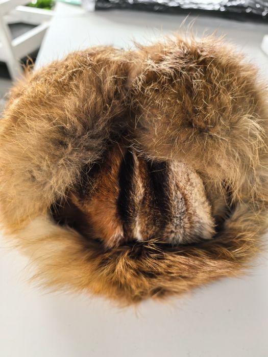 Czapka uszatka lis naturalny obwód 54