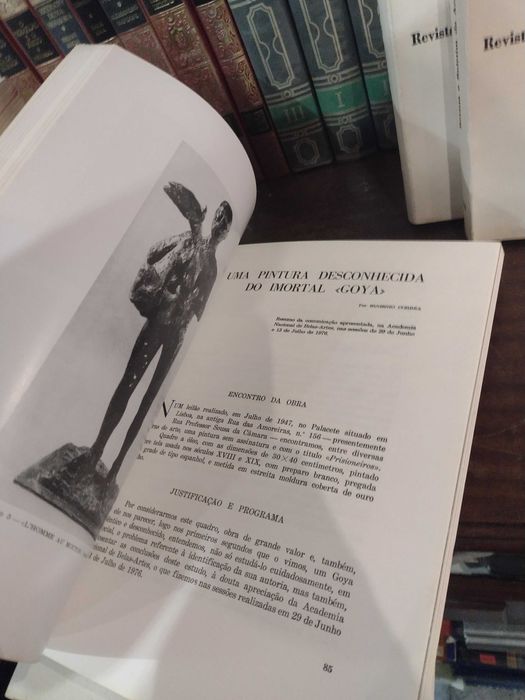 Belas Artes Revista e Boletim da Academia Nacional de Belas-Artes