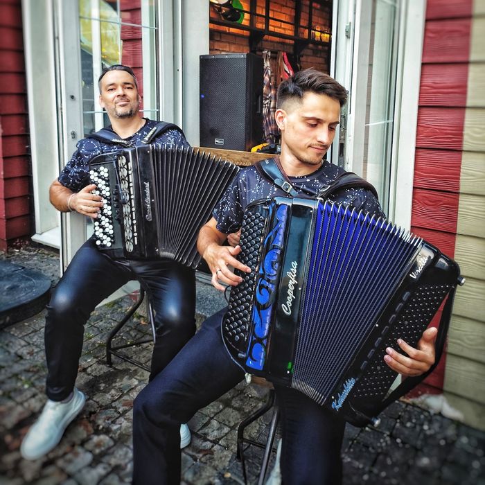 ЖИВА МУЗИКА|Музиканти|Баяністи|Київ